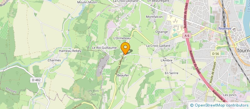 localisation de l'entreprise LES BRETTEURS DU ROY GUILLAUME à TOURNUS