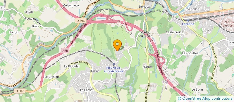 localisation de l'entreprise LES BROSSES  FLEURIEUX-SUR-L'ARBRESLE