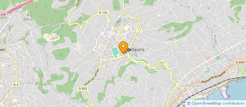 localisation de l'entreprise LES BRUSQUETS à VALLAURIS