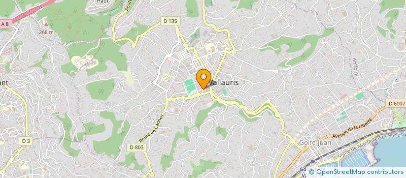 localisation de l'entreprise LES BRUYERES  VALLAURIS