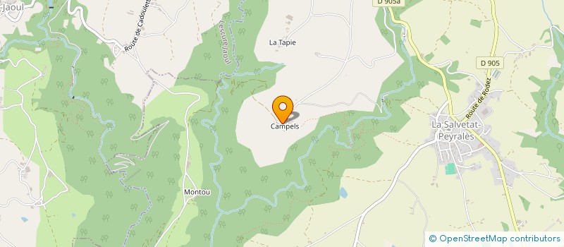 localisation de l'entreprise LES BUFFLONES D'OR  LA SALVETAT-PEYRALES