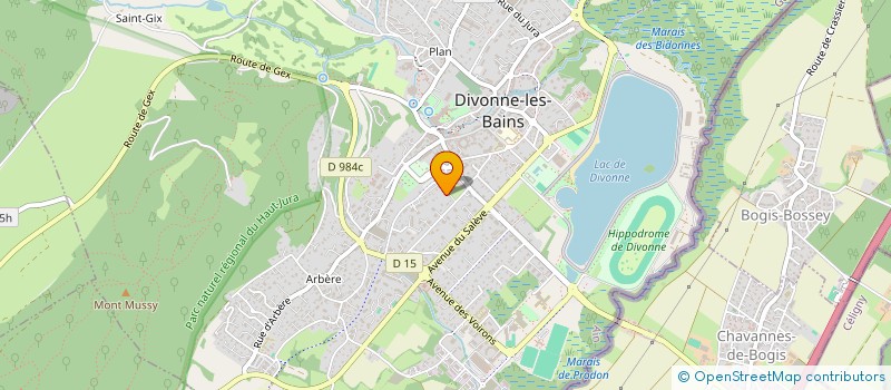 localisation de l'entreprise LES BUREAUX D'YVON ET D'YVONNE  DIVONNE-LES-BAINS