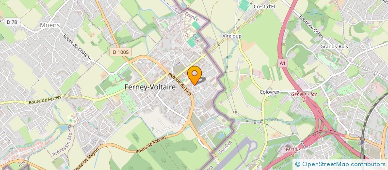 localisation de l'entreprise LES BURGERS DU BIDOU à FERNEY-VOLTAIRE