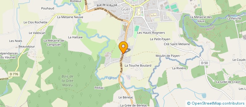 localisation de l'entreprise LES CAMELIAS  GUER