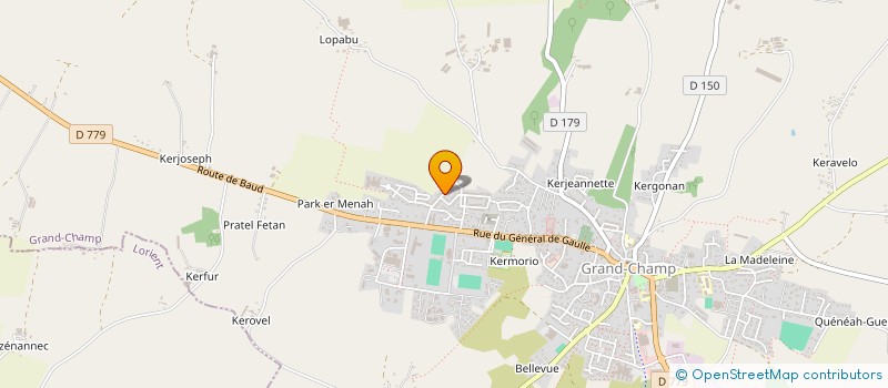 localisation de l'entreprise LES CAMELIAS  GRAND-CHAMP