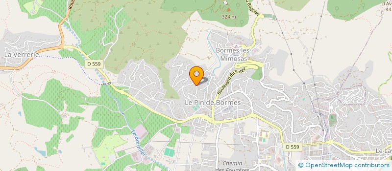 localisation de l'entreprise LES CAMELIAS à BORMES-LES-MIMOSAS