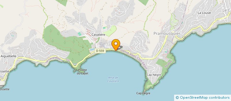 localisation de l'entreprise LES CANETONS à LE LAVANDOU