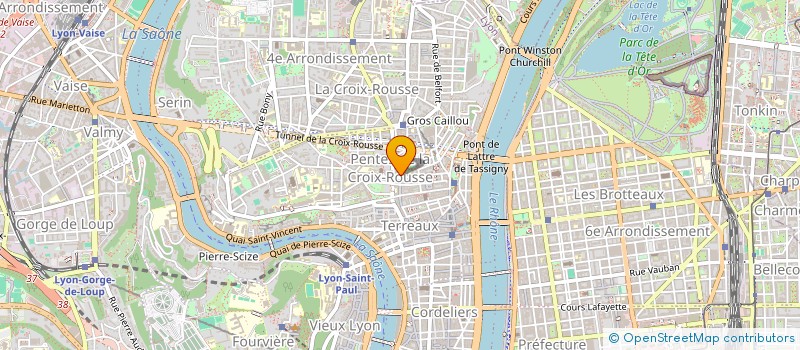 localisation de l'entreprise LES CANULARTS à LYON