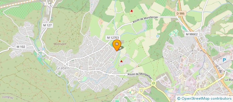 localisation de l'entreprise LES CARIGNANS  GRABELS