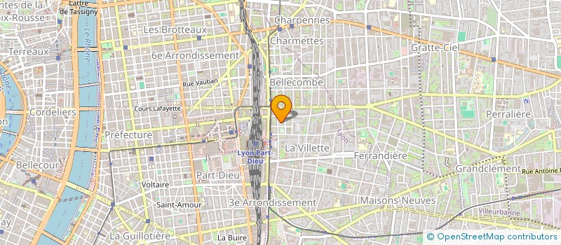 localisation de l'entreprise LES CARRELEURS DE LYON  LYON