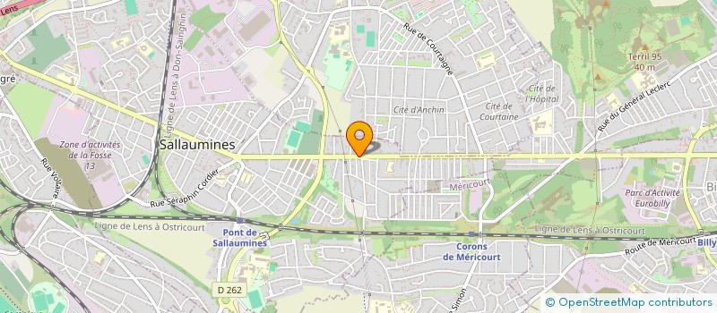 localisation de l'entreprise LES CAVES GEDEON à SALLAUMINES