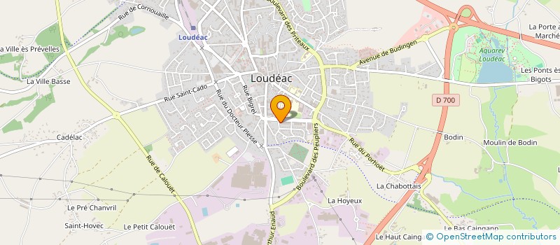 localisation de l'entreprise LES CAVES SAINT ANTOINE à LOUDEAC