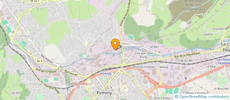 localisation de l'entreprise LES CELESTES  FIRMINY