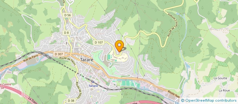 localisation de l'entreprise LES CELESTINS  TARARE