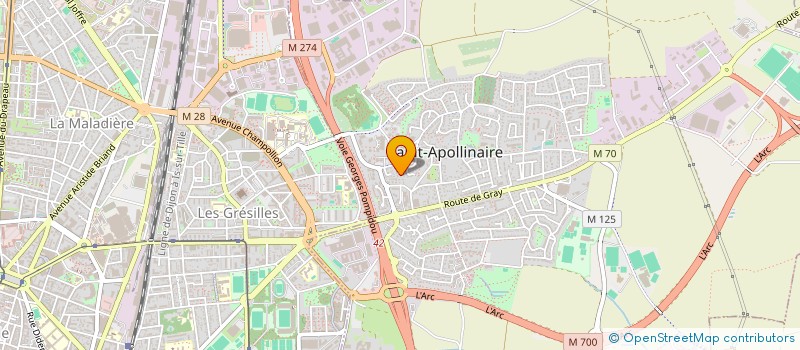 localisation de l'entreprise LES CEP'PLEUMIENS  SAINT-APOLLINAIRE