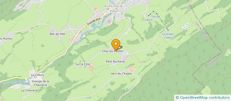localisation de l'entreprise LES CHALETS  FONCINE-LE-HAUT