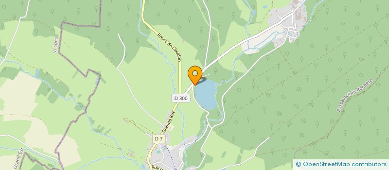 localisation de l'entreprise LES CHALETS DU LAC  PASSAVANT-LA-ROCHERE