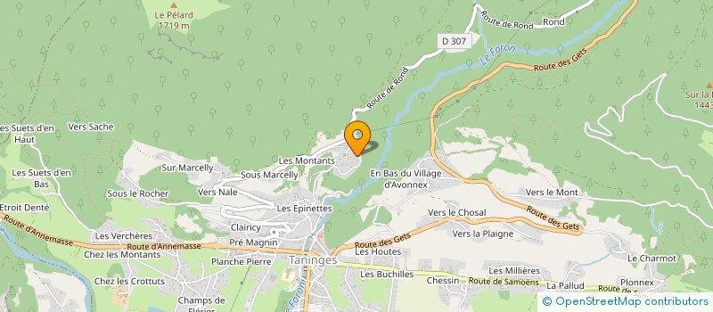 localisation de l'entreprise LES CHALETS DU PIC à TANINGES
