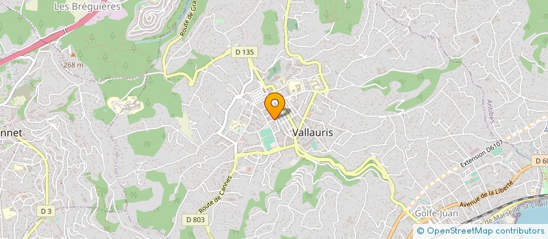 localisation de l'entreprise LES CHALETS DU VERSANT SUD à VALLAURIS