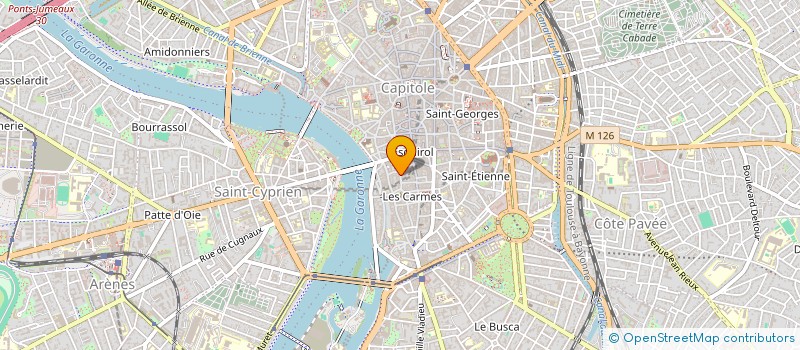 localisation de l'entreprise LES CHAMPIONS  TOULOUSE