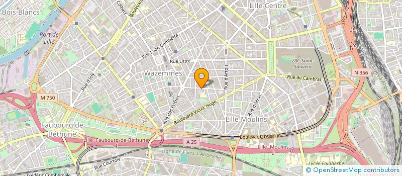 localisation de l'entreprise LES CHATONS à LILLE