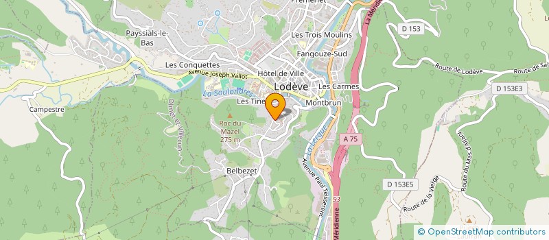 localisation de l'entreprise LES CHATS EN LODEVOIS à LODEVE
