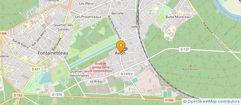 localisation de l'entreprise LES CHATS LIBRES D'AVON  AVON