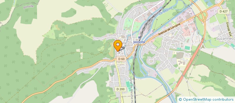 localisation de l'entreprise LES CHATS LIBRES DE JOINVILLE  JOINVILLE