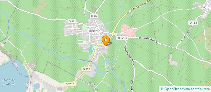 localisation de l'entreprise LES CHENES  OLONZAC