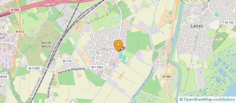 localisation de l'entreprise LES CHENES VERTS à LATTES