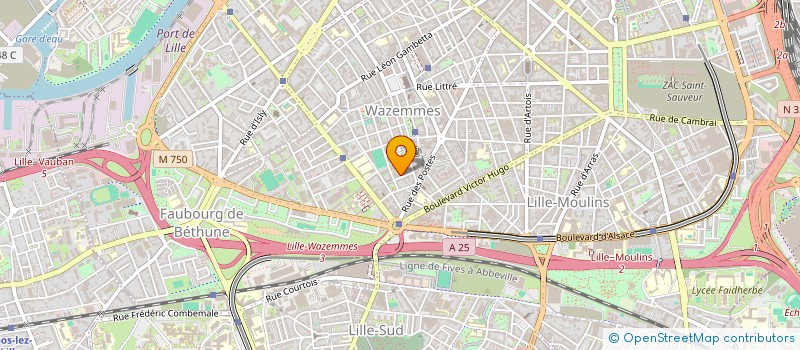 localisation de l'entreprise LES CHERUBINS DE LILLE à LILLE