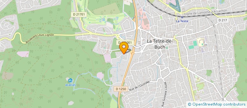 localisation de l'entreprise LES CHIPOUNIS à LA TESTE-DE-BUCH