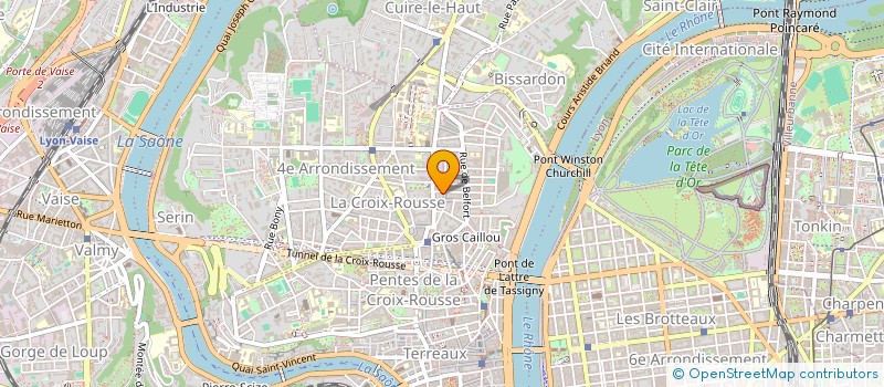 localisation de l'entreprise LES CHOUCHOUS à LYON