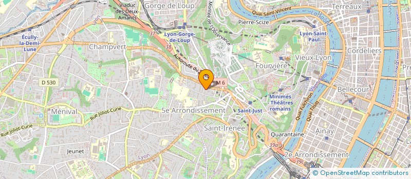 localisation de l'entreprise LES CHOUETTES ULULENT à LYON