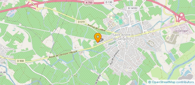 localisation de l'entreprise LES CINQ D'OR  SAINT-ANDRE-DE-SANGONIS