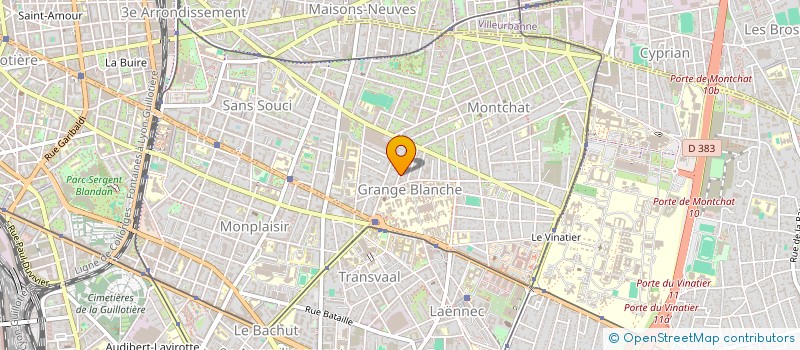 localisation de l'entreprise LES CINQ FLEURS DE LYS  LYON