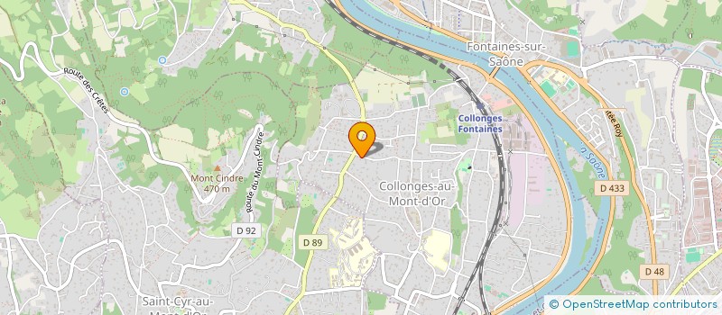 localisation de l'entreprise LES CITRONS  COLLONGES-AU-MONT-D'OR