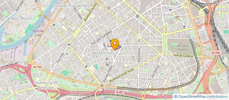 localisation de l'entreprise LES CLOWNS DE L'ESPOIR à LILLE