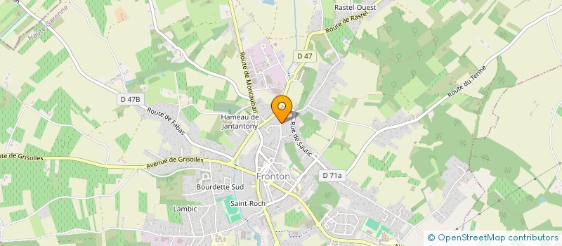 localisation de l'entreprise LES COCOTIERS  FRONTON