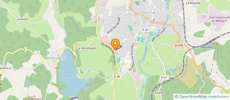 localisation de l'entreprise LES COGNEURS DU PLATEAU DE MILLEVACHES à MEYMAC