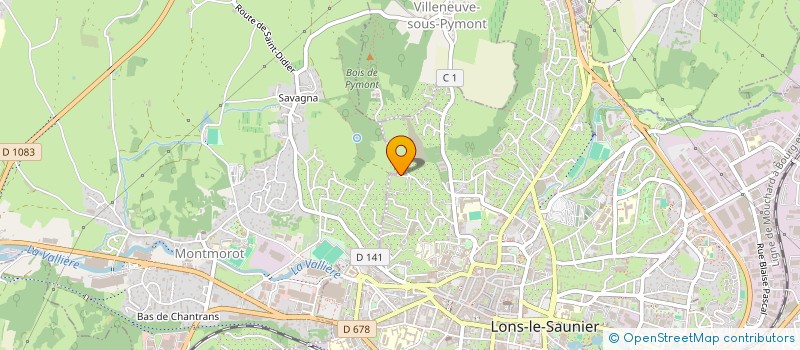 localisation de l'entreprise LES COISES  LONS-LE-SAUNIER