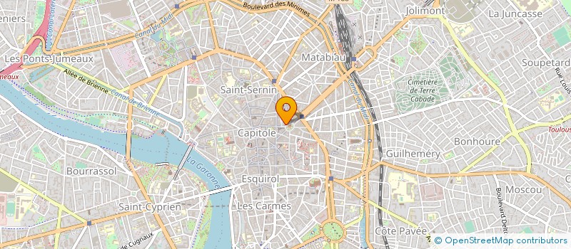 localisation de l'entreprise LES COMPAGNONS DE LA TABLE OVALE  TOULOUSE