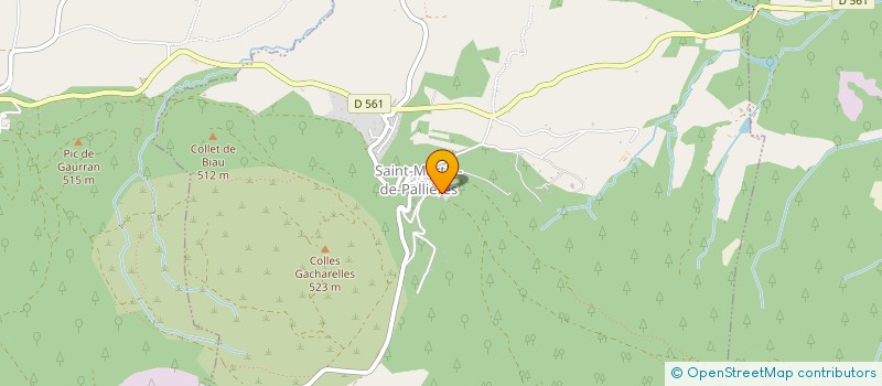 localisation de l'entreprise LES CONCERTS EN VOUTES à SAINT-MARTIN-DE-PALLIERES