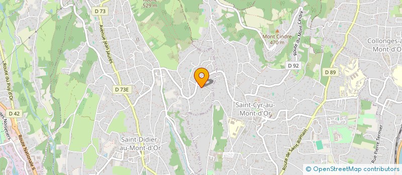 localisation de l'entreprise LES CONTA  SAINT-DIDIER-AU-MONT-D'OR