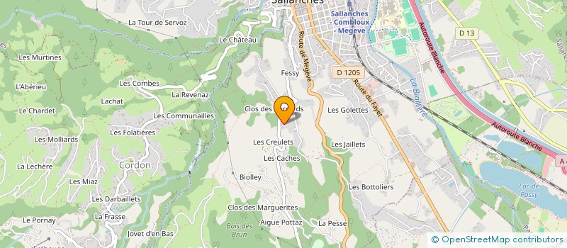 localisation de l'entreprise LES COSMIQUES à SALLANCHES