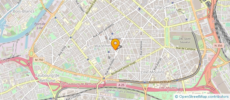 localisation de l'entreprise LES COUSETTES DE LILLE CENTRE à LILLE