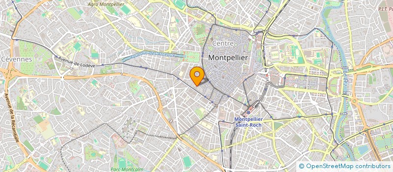 localisation de l'entreprise LES CROCODILES AIMENT L'AGNEAU à MONTPELLIER