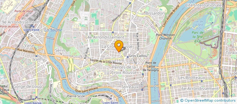 localisation de l'entreprise LES CURIEUX POLYGLOTTES à LYON