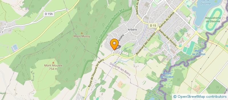 localisation de l'entreprise LES CUVEES INSOLENTES  DIVONNE-LES-BAINS