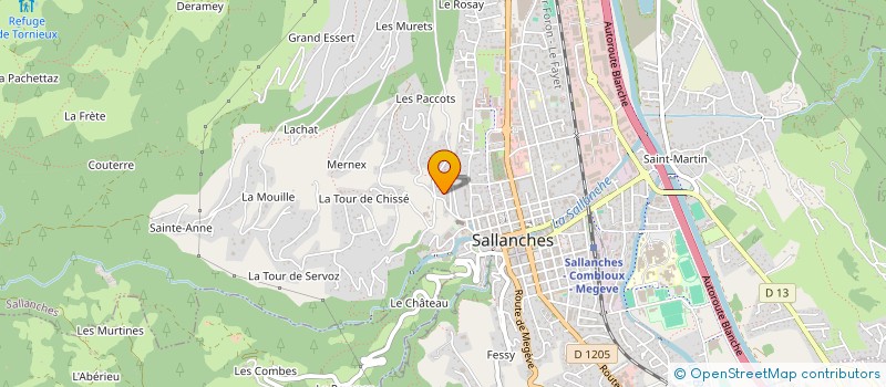 localisation de l'entreprise LES DAUPHINS à SALLANCHES